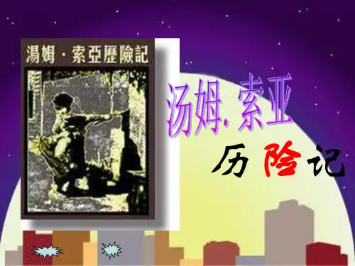 汤姆索亚历险记
