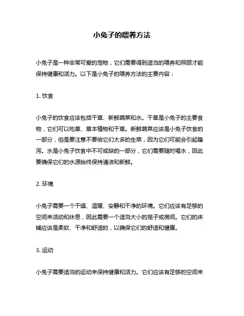 小兔子的喂养方法