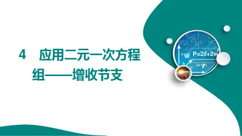 第五章4 应用二元一次方程组增收节支