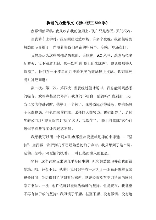 执着的力量作文(初中初三800字).doc
