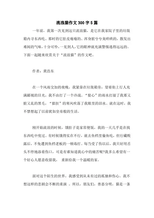 流浪猫作文300字5篇