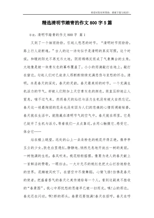 精选清明节踏青的作文800字5篇