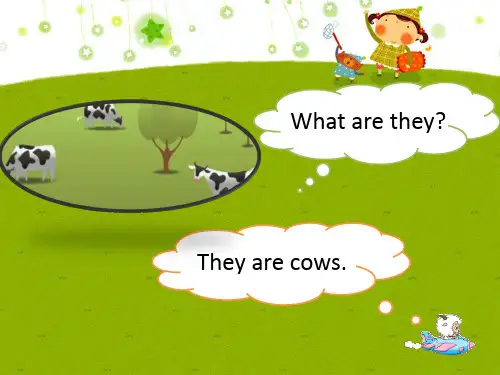 What are they