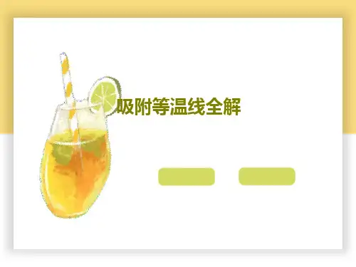 吸附等温线全解共51页文档