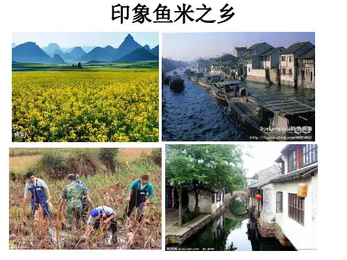长江三角洲_(一)