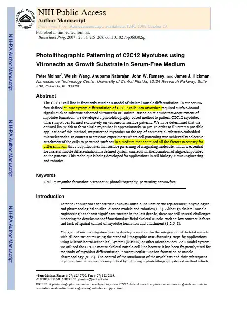 C2C12 Myotubes