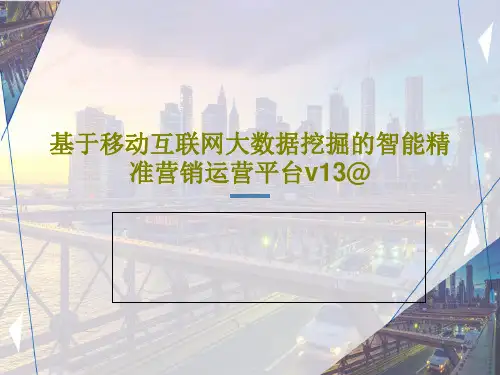基于移动互联网大数据挖掘的智能精准营销运营平台v13@共30页