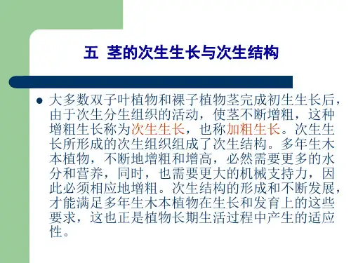 茎的次生生长与次生运动