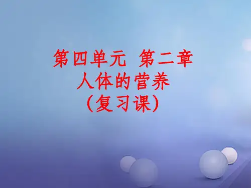 七年级生物下册 第二章 人体的营养复习 新人教版