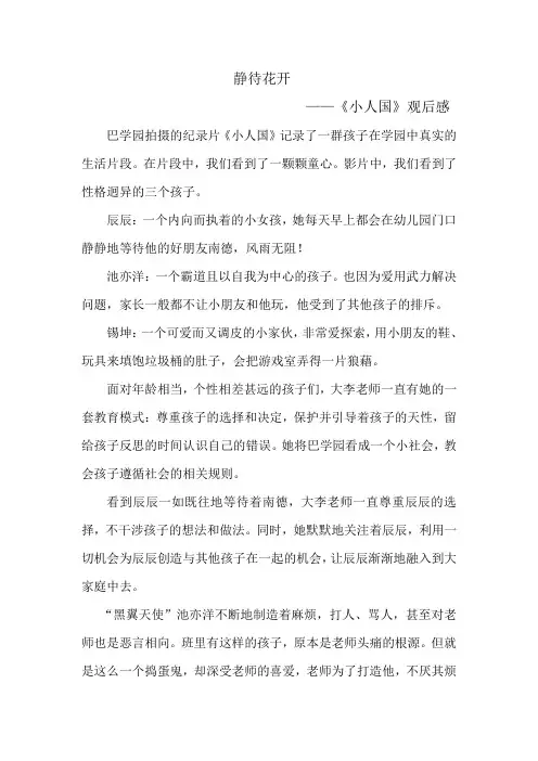 小人国观后感