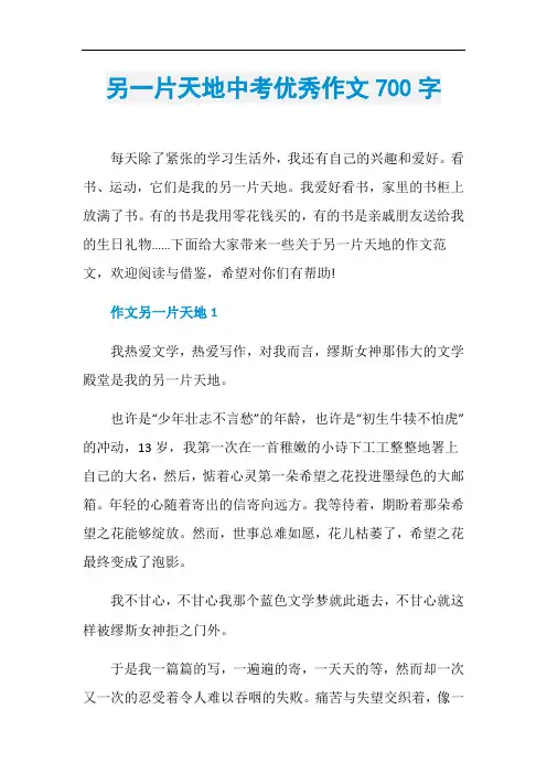 另一片天地中考优秀作文700字