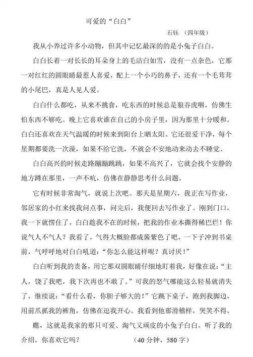 可爱的小兔