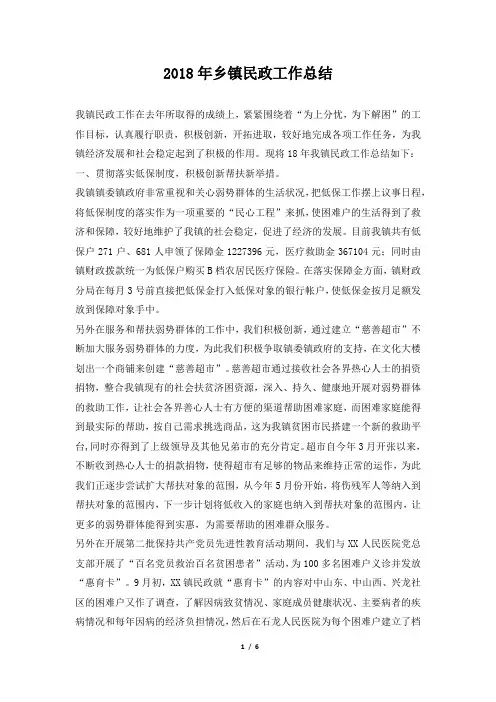 乡镇民政工作总结
