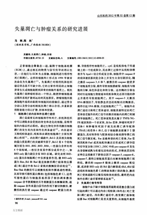 失巢凋亡与肿瘤关系的研究进展
