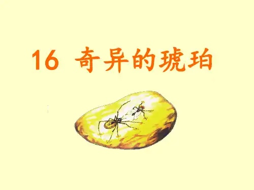 奇异的琥珀