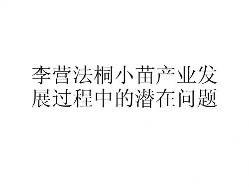 李营法桐小苗产业发展过程中的潜在问题