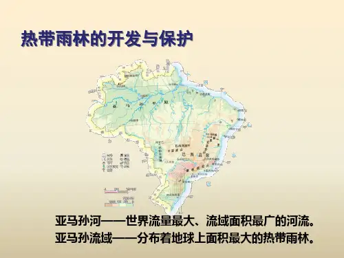 热带雨林作用与危机