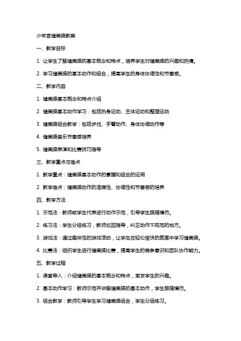 少年宫健美操教案