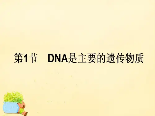 【师说】2017届高考生物一轮复习 第3章 基因的本质 第1节 DNA是主要的遗传物质课件 新人教版必修2