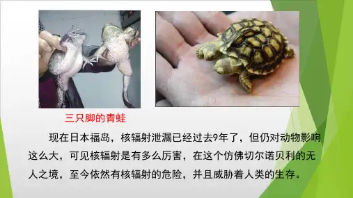 新教材《基因突变和基因重组》PPT优秀课件人教版1