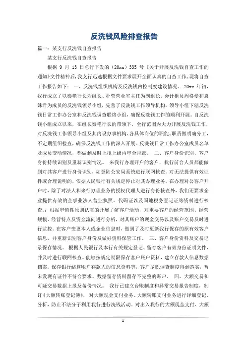 反洗钱风险排查报告