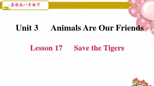 冀教版八年级英语下册unit 3第三单元Lesson 17 Save the Tigers
