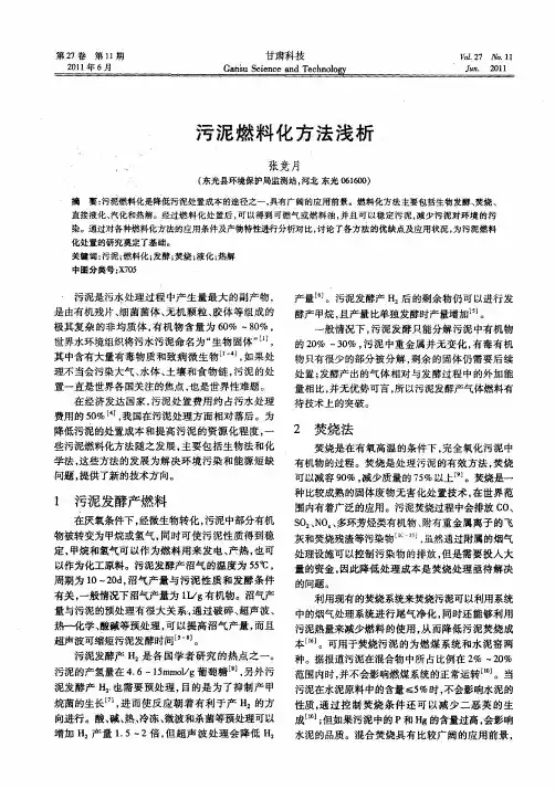 污泥燃料化方法浅析