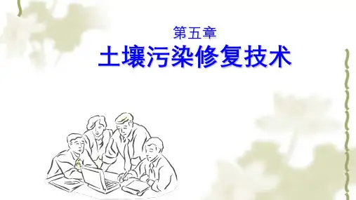 土壤污染修复技术ppt课件