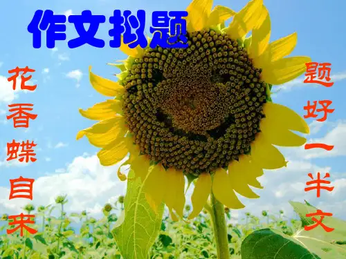 高考作文拟题技巧