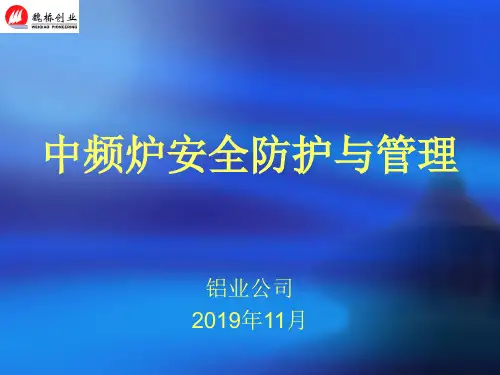 中频炉安全防护与管理 共42页