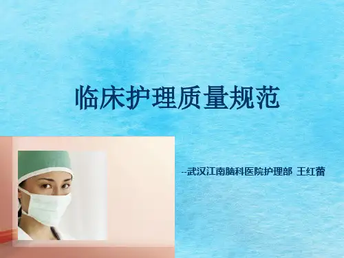 临床护理质量标准ppt课件