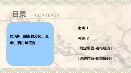 2018年高考生物大一轮复习第四单元细胞的生命历程第3讲细胞的分化衰老凋亡与癌变课件