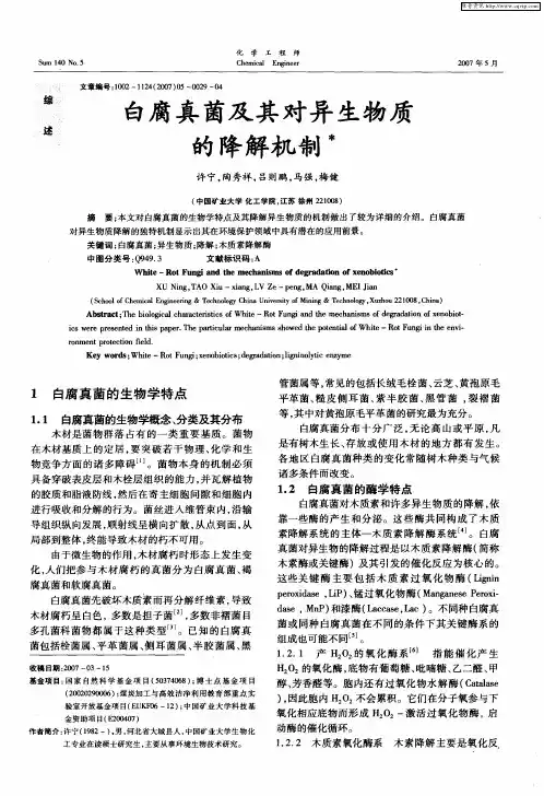 白腐真菌及其对异生物质的降解机制
