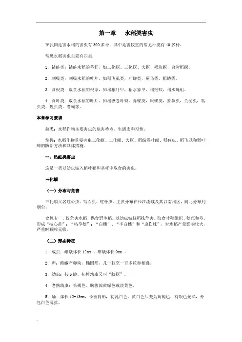 水稻害虫