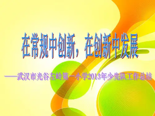 2013年少先队工作总结