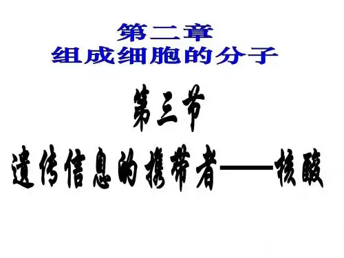 高一生物核酸课件1