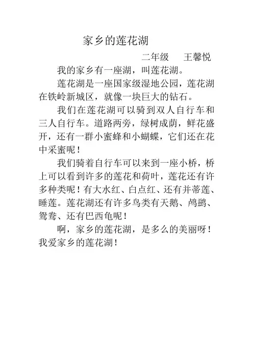家乡的莲花湖