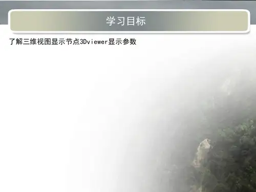 三维视图显示节点与参数