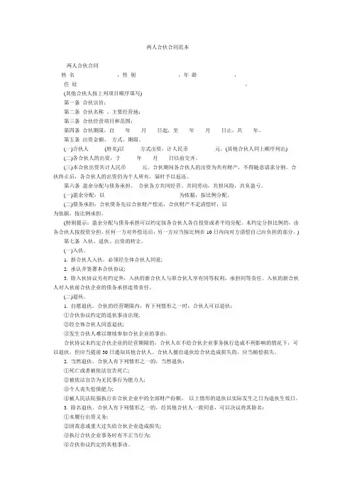 两人合伙合同范本