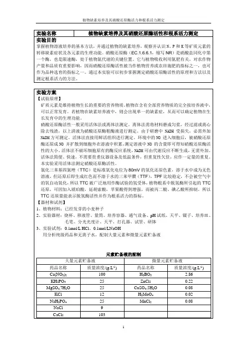 植物缺素培养及其硝酸还原酶活性和根系活力测定