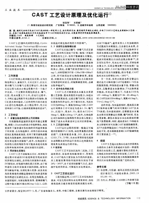 CAST工艺设计原理及优化运行