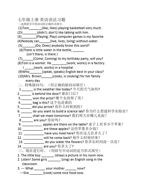 七年级上册英语语法练习