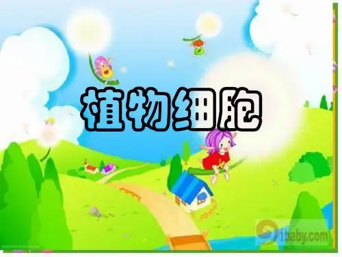 2.1.3.动物细胞