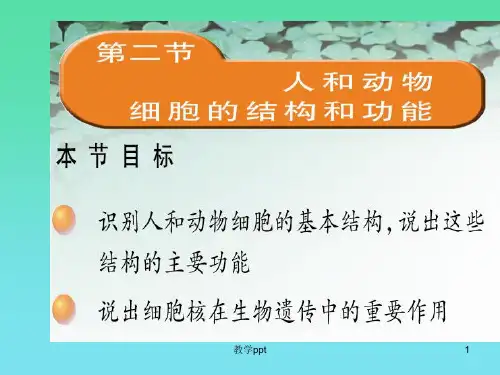 苏教版生物七年级上第3章第2节人和动物细胞的结构和功能