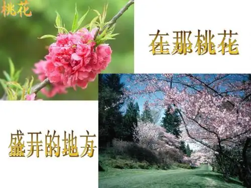 16.大自然的语言
