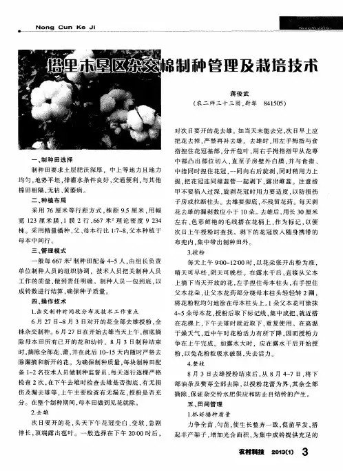 塔里木垦区杂交棉制种管理及栽培技术
