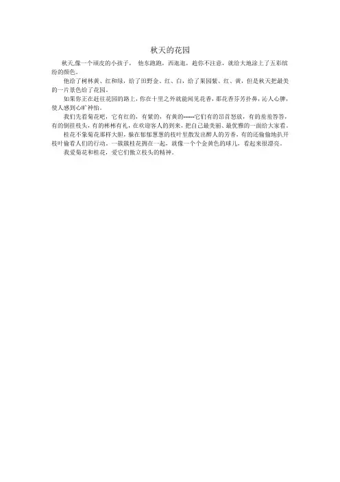 秋天的花园