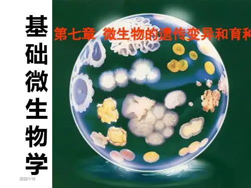 微生物 第7章 微生物遗传变异