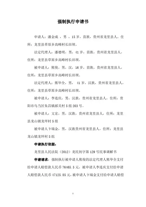 强制执行申请书