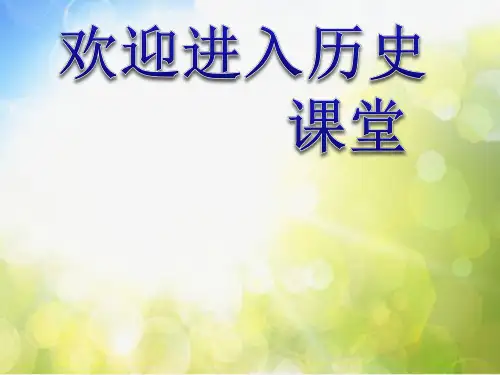 人教新课标版历史必修二第八单元单元总结
